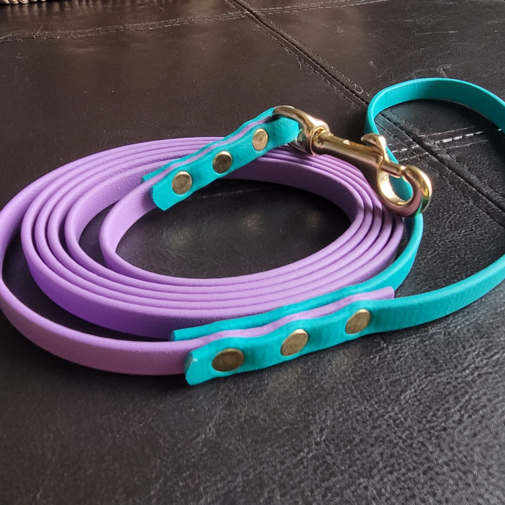 Durable Biothane Leashes for Dogs
