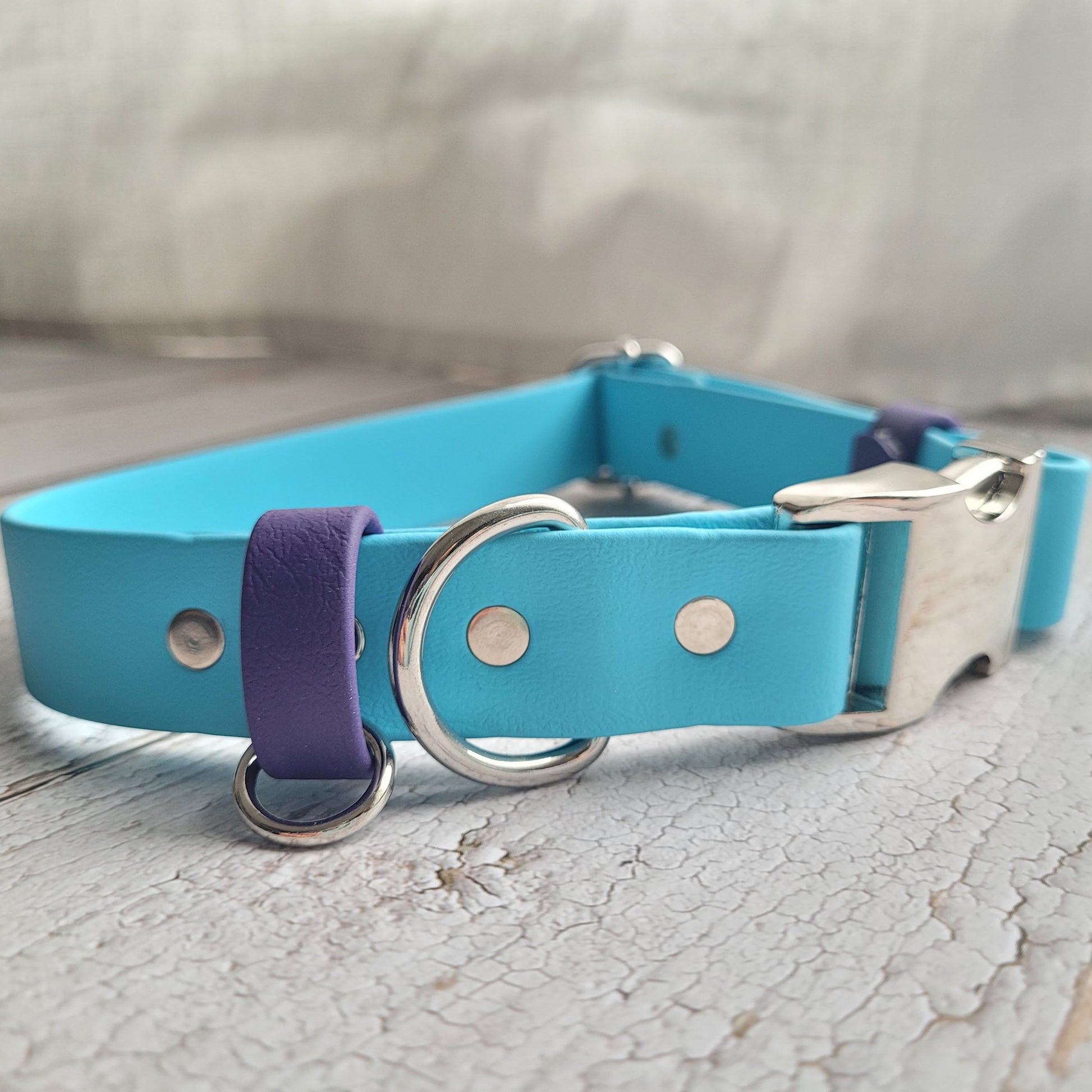 Sky blue with purple strap keeper 