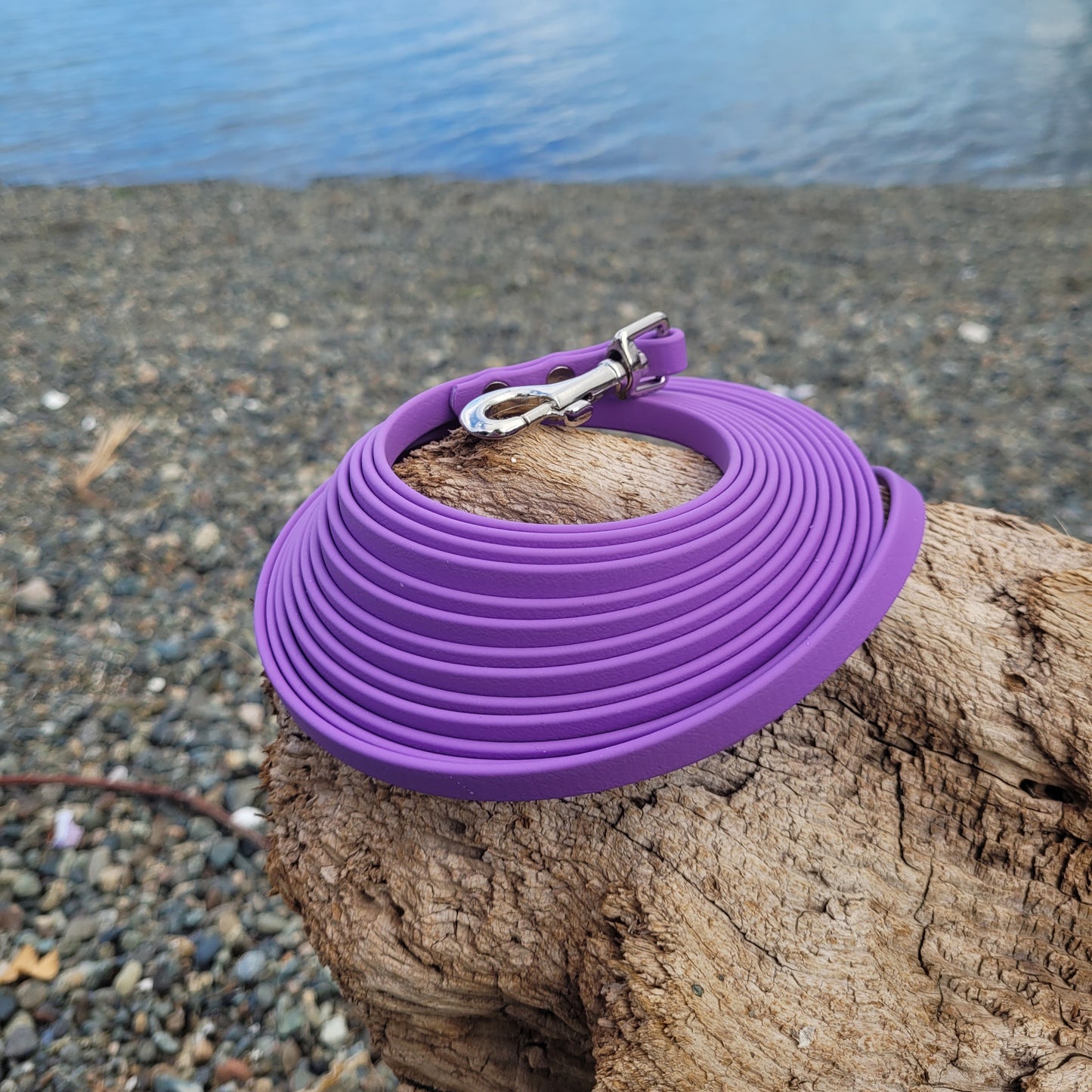 3/8" Single-Tone BioThane®  Leash