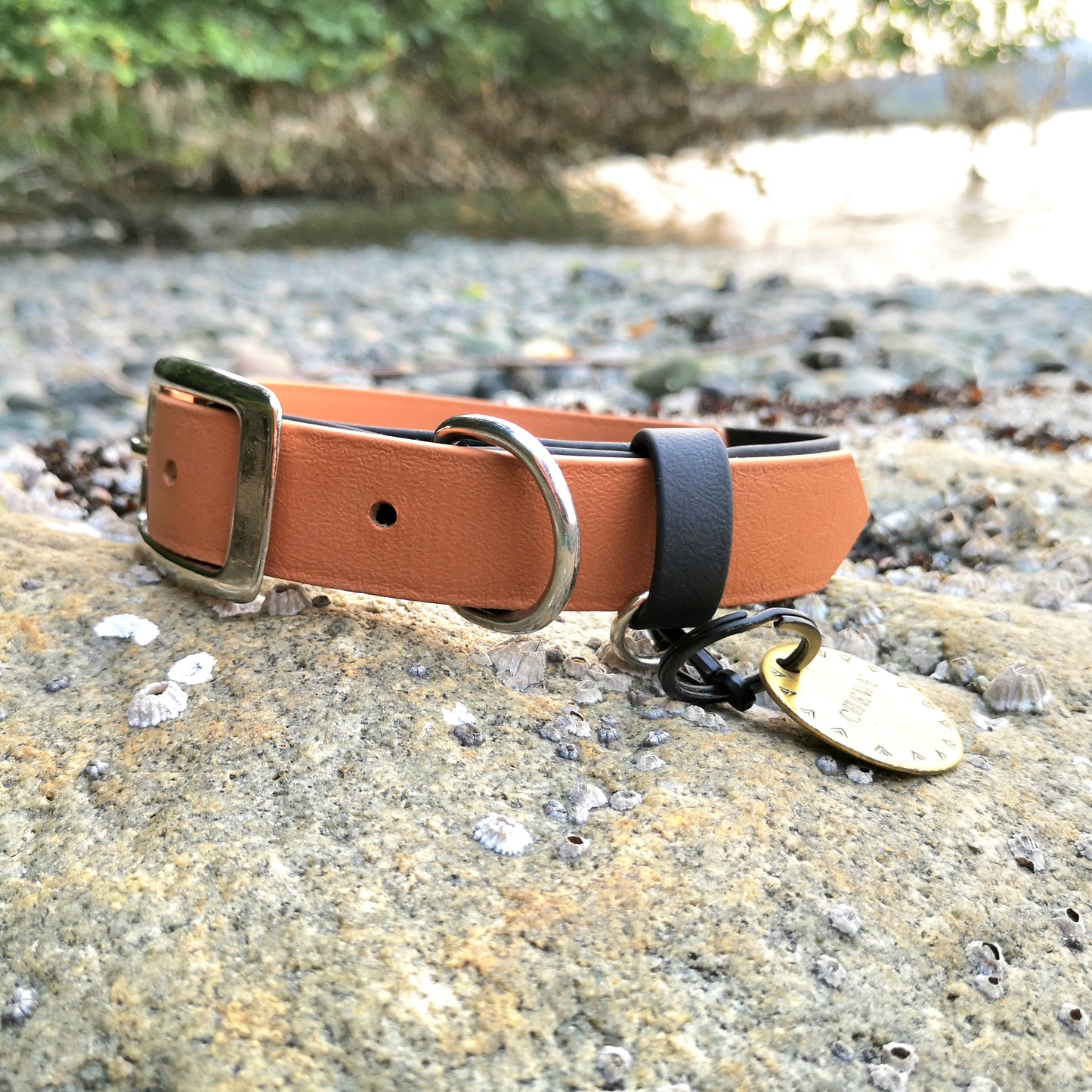 Brown light tan with black strap