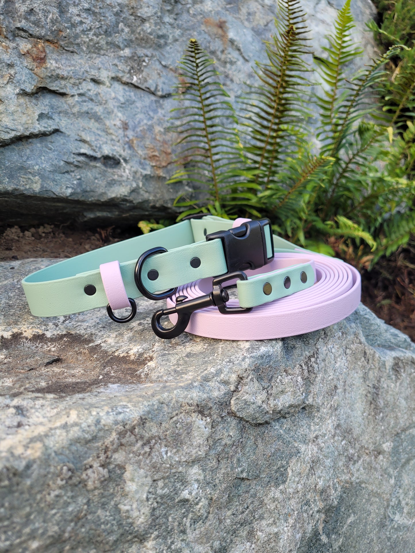 Sage green and lavender with matching leash