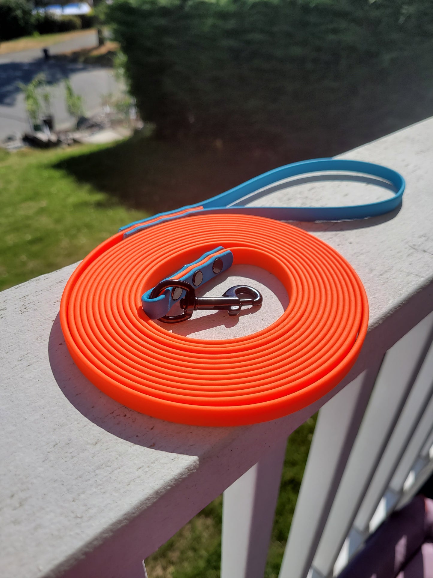 Neon orange leash with lagoon blue accents 