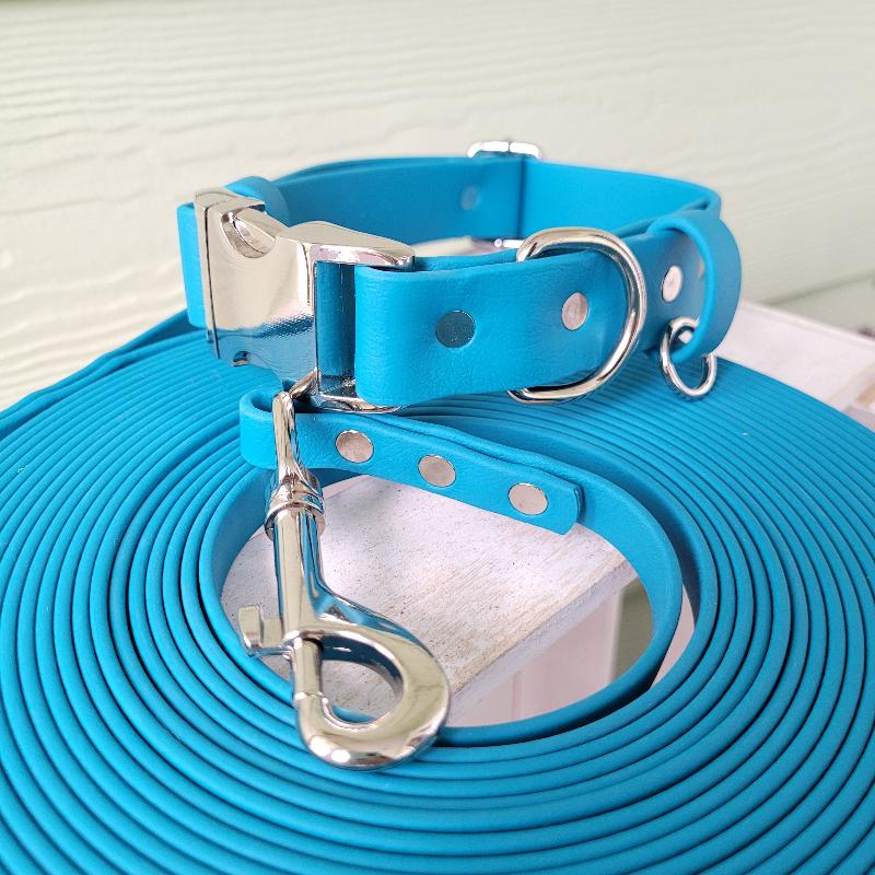 Blue lagoon with matching leash on 1/2" wide