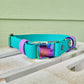 Pre-made: 1" Rainbow Quick-Release BioThane® Collar (Teal & Amethyst)