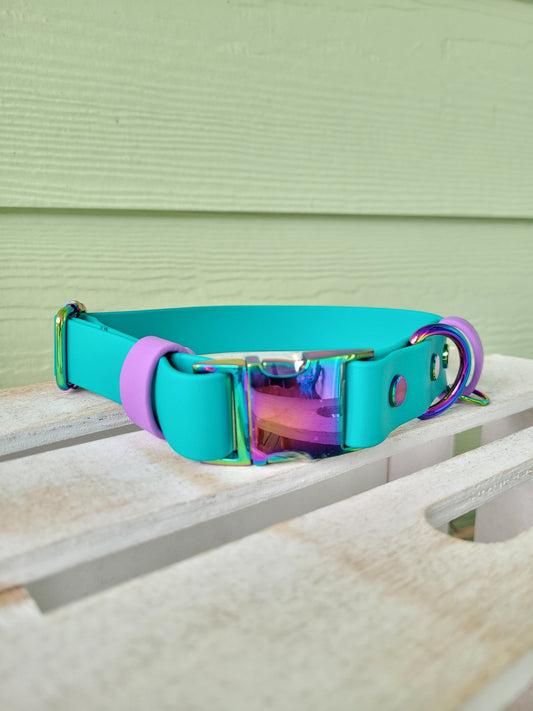 Pre-made: 1" Rainbow Quick-Release BioThane® Collar (Teal & Amethyst)