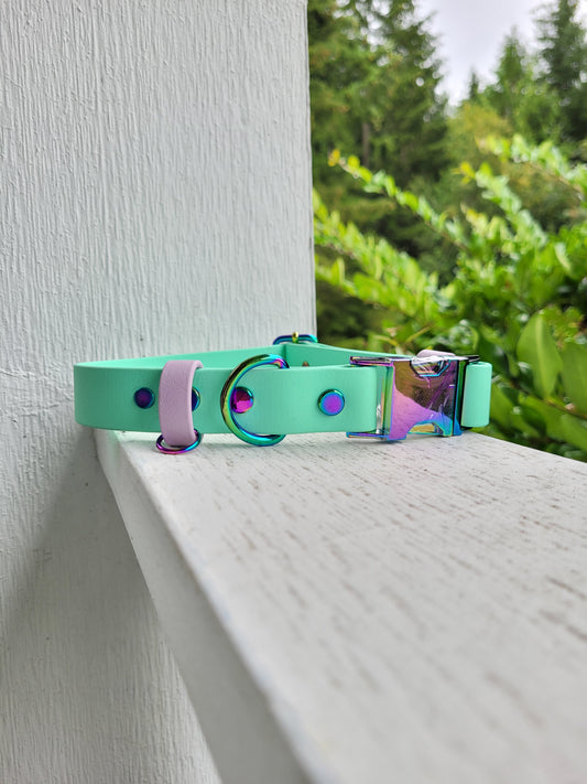 Pre-made: 1" Rainbow Quick-Release BioThane® Collar (Sea foam green & lavender)