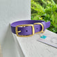 Pre-made: 1" Brass Metal Pin BioThane® Collar in Purple