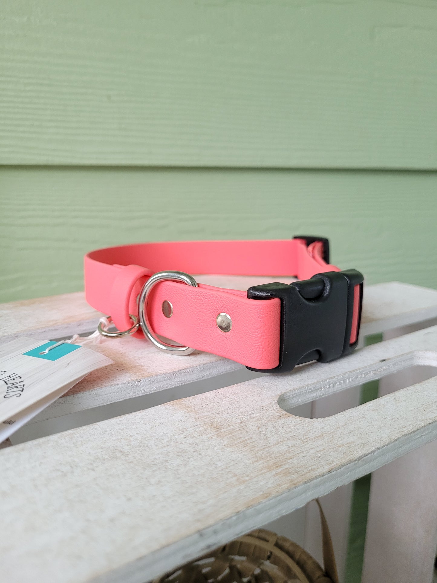 Pre-made: 1" Black Plastic Quick-Release BioThane® Collar (Coral Pink)