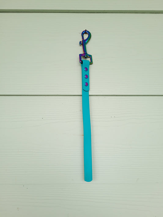 Pre-made: 5/8" BioThane® Traffic Leash (Teal)