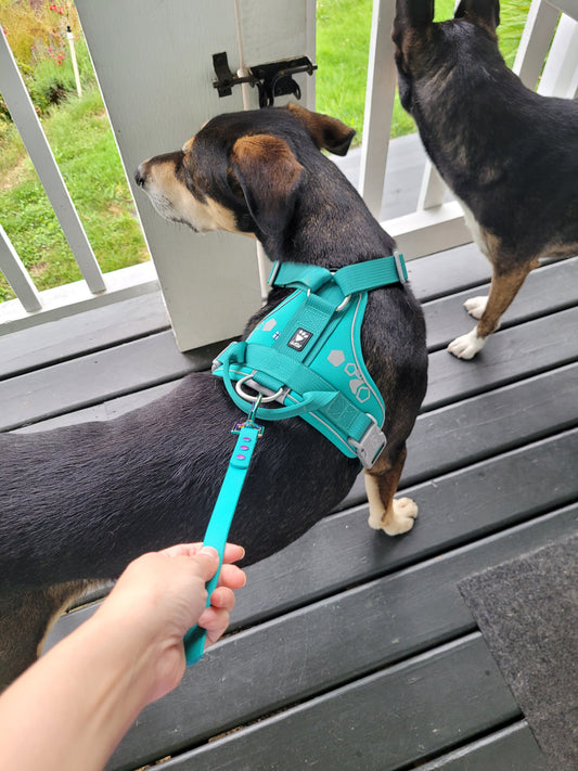 Pre-made: 5/8" BioThane® Traffic Leash (Teal)