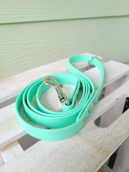 Pre-made: 5/8" BioThane®  Leash (Several colours)