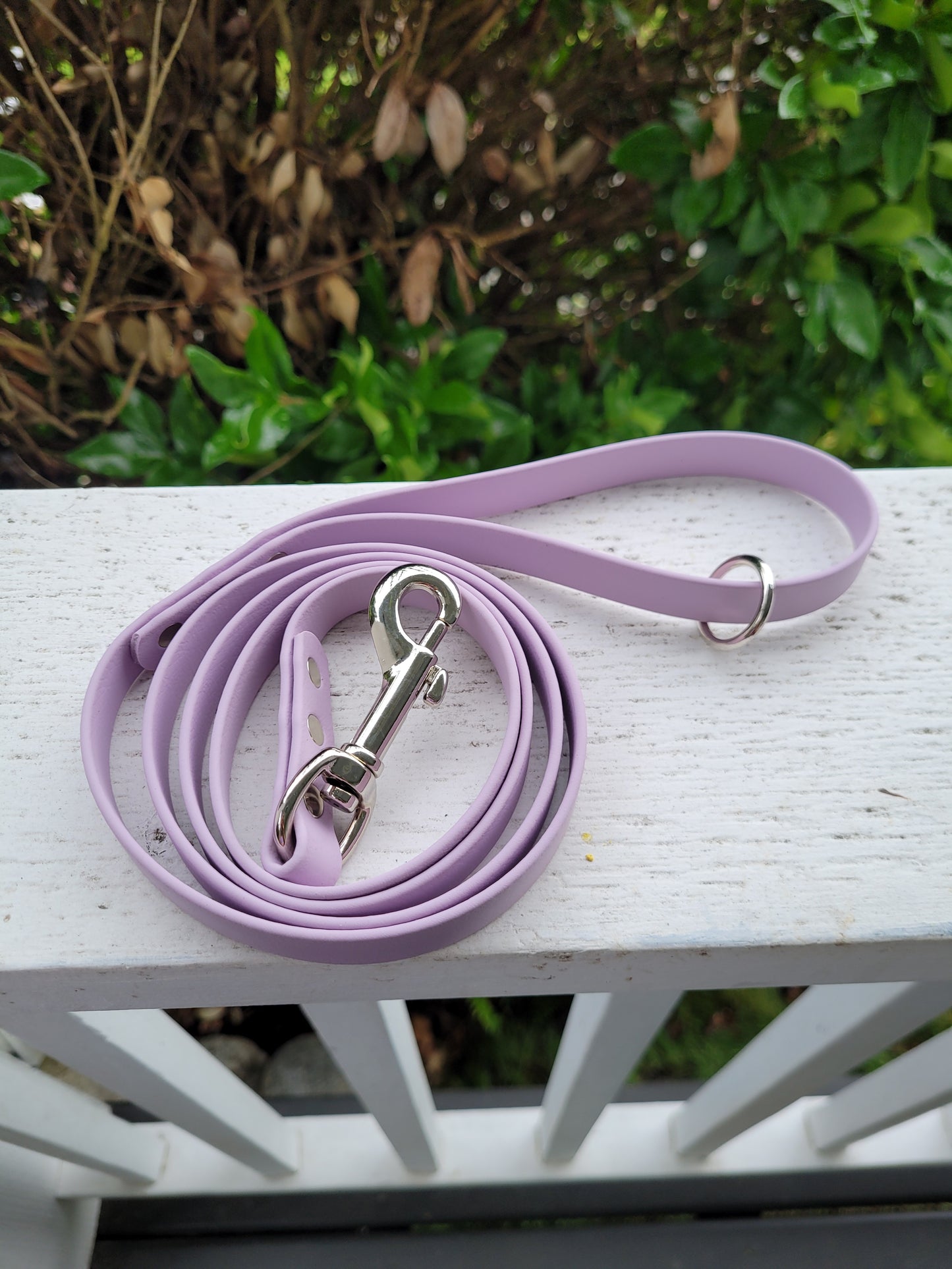 Pre-made: 5/8" BioThane®  Leash (Several colours)