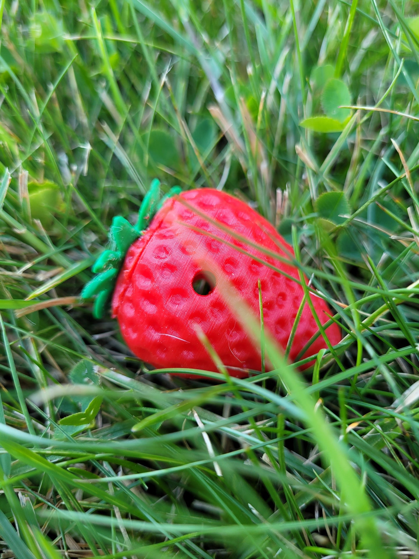 Strawberry Vessel (1 Pack)