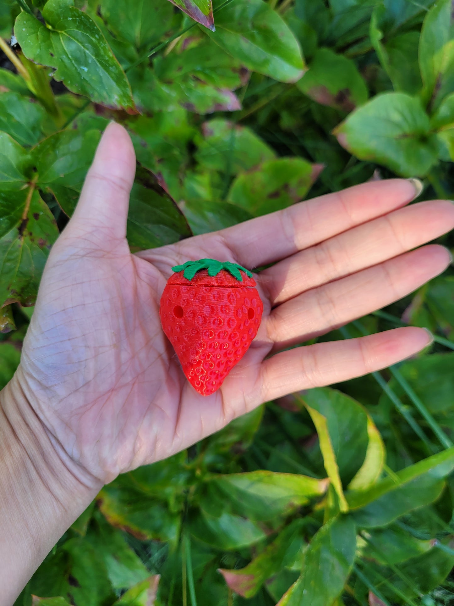 Strawberry Vessel (1 Pack)