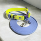 neon yellow & periwinkle collar to match your leash