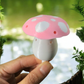 Spotted Mushroom Vessel (3 Pack) (2022)