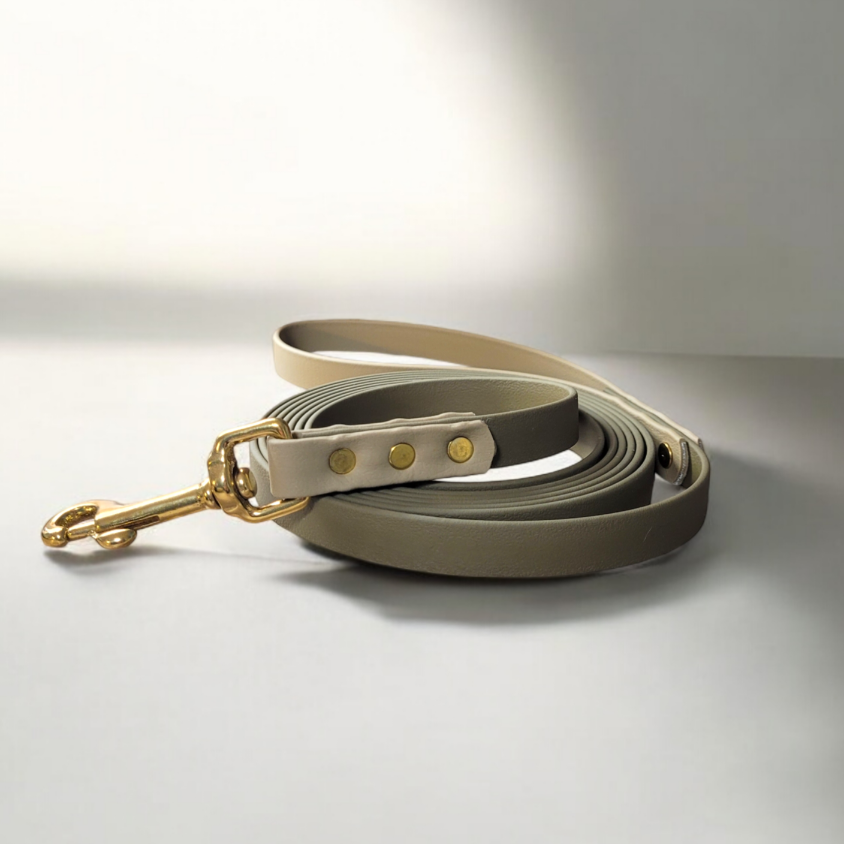 Sahara tan handle with olive leash