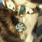 Holiday Dog Tag (1 Pack)