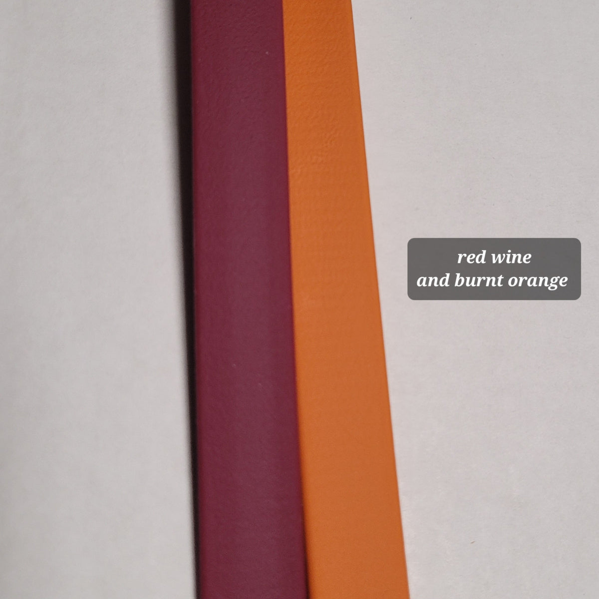 NEW COLOUR: Burnt Orange Biothane® Leashes & Collars