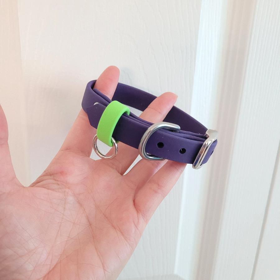 XXS collar: 8.5"-11"   Purple with lime green strap