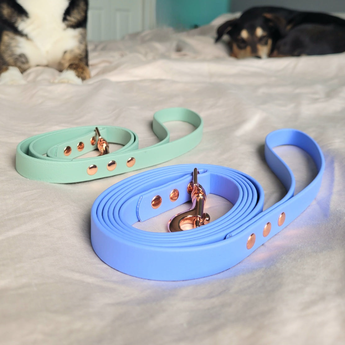 5/8 wide (Widest) Leash