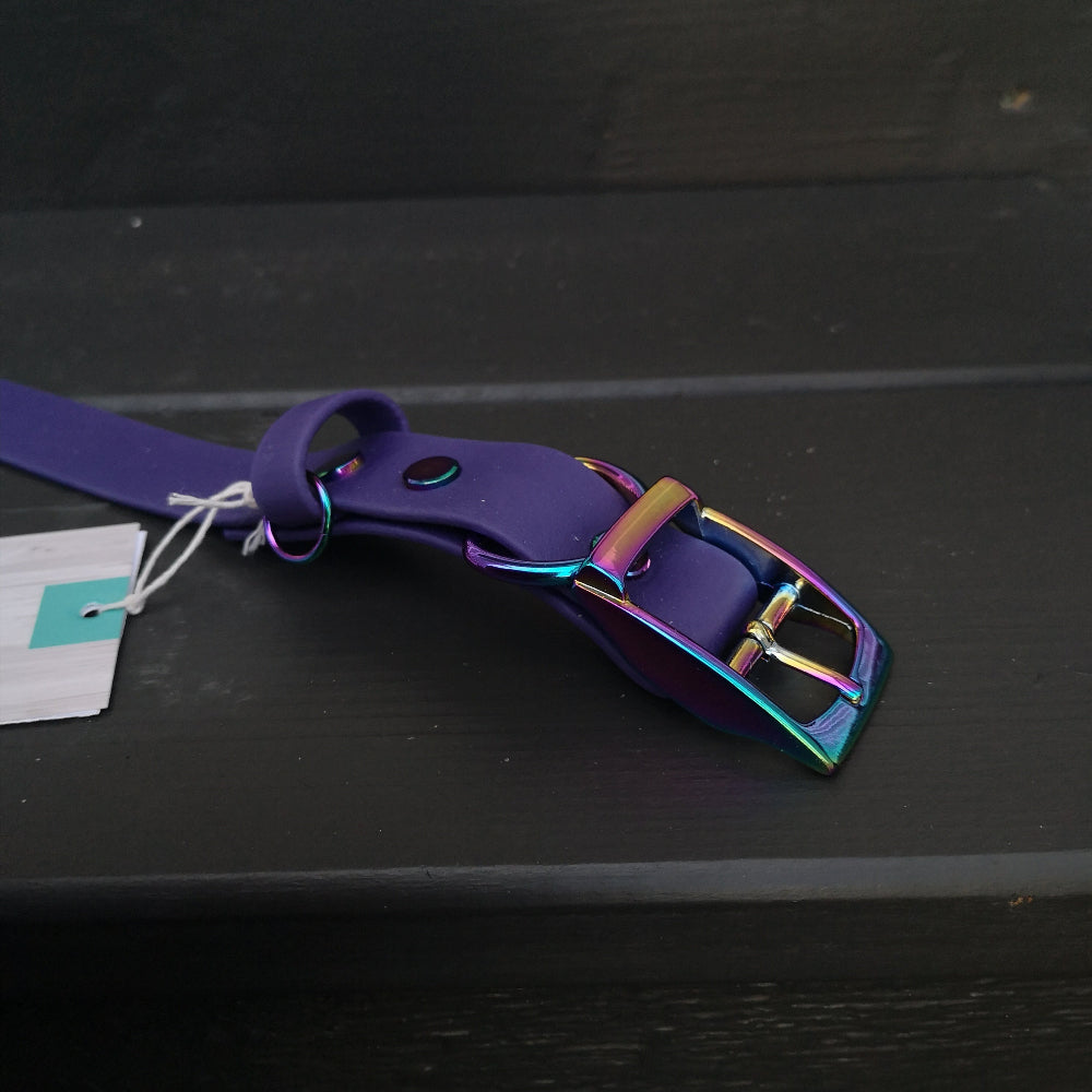 Purple with rainbow hardware Biothane collar