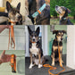 A collage of burnt orange biothane collars and leashes. Made in Canada.