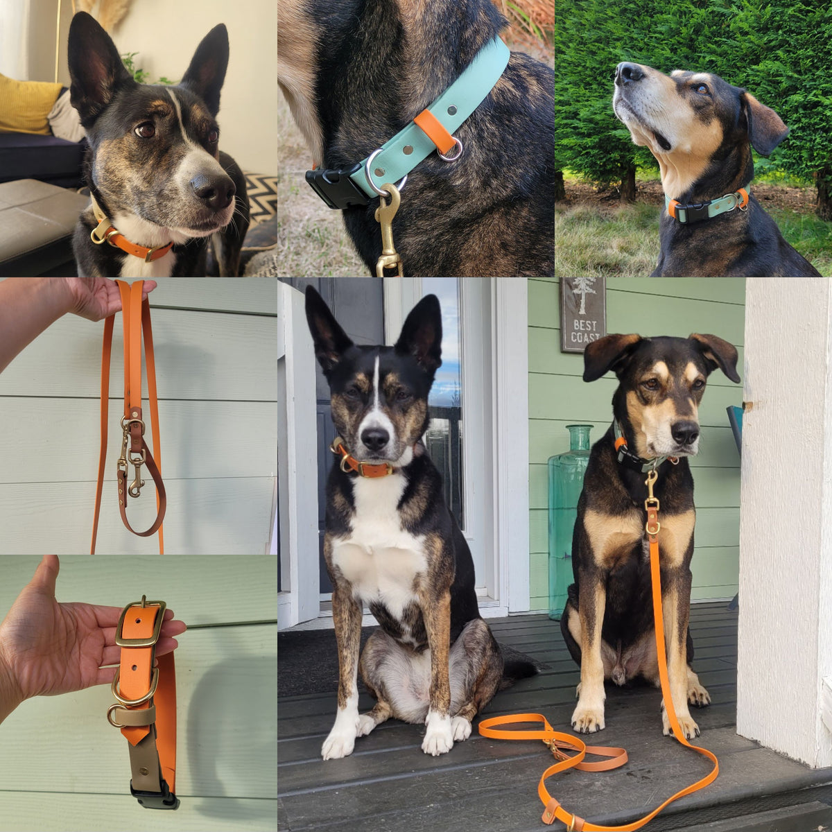 A collage of burnt orange biothane collars and leashes. Made in Canada.