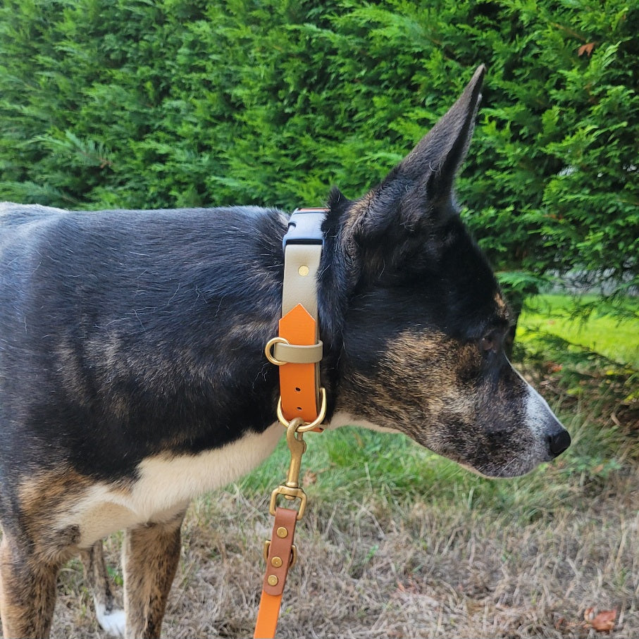 Burnt Orange Sahara Tan Biothane Collar
