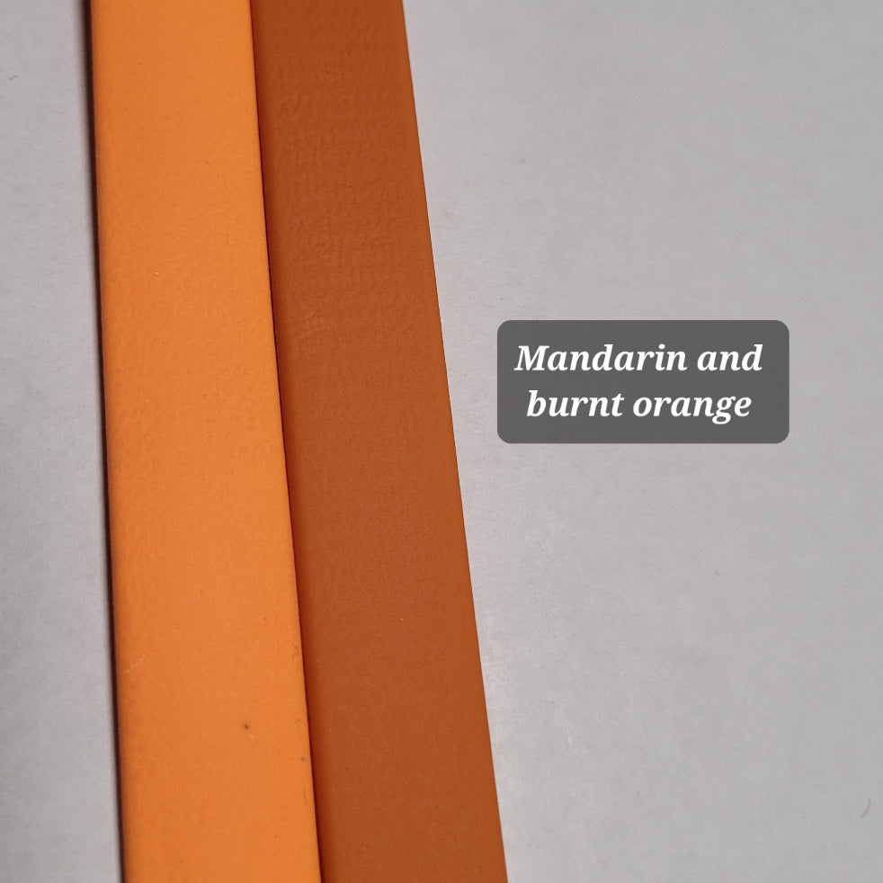 NEW COLOUR: Burnt Orange Biothane® Leashes & Collars