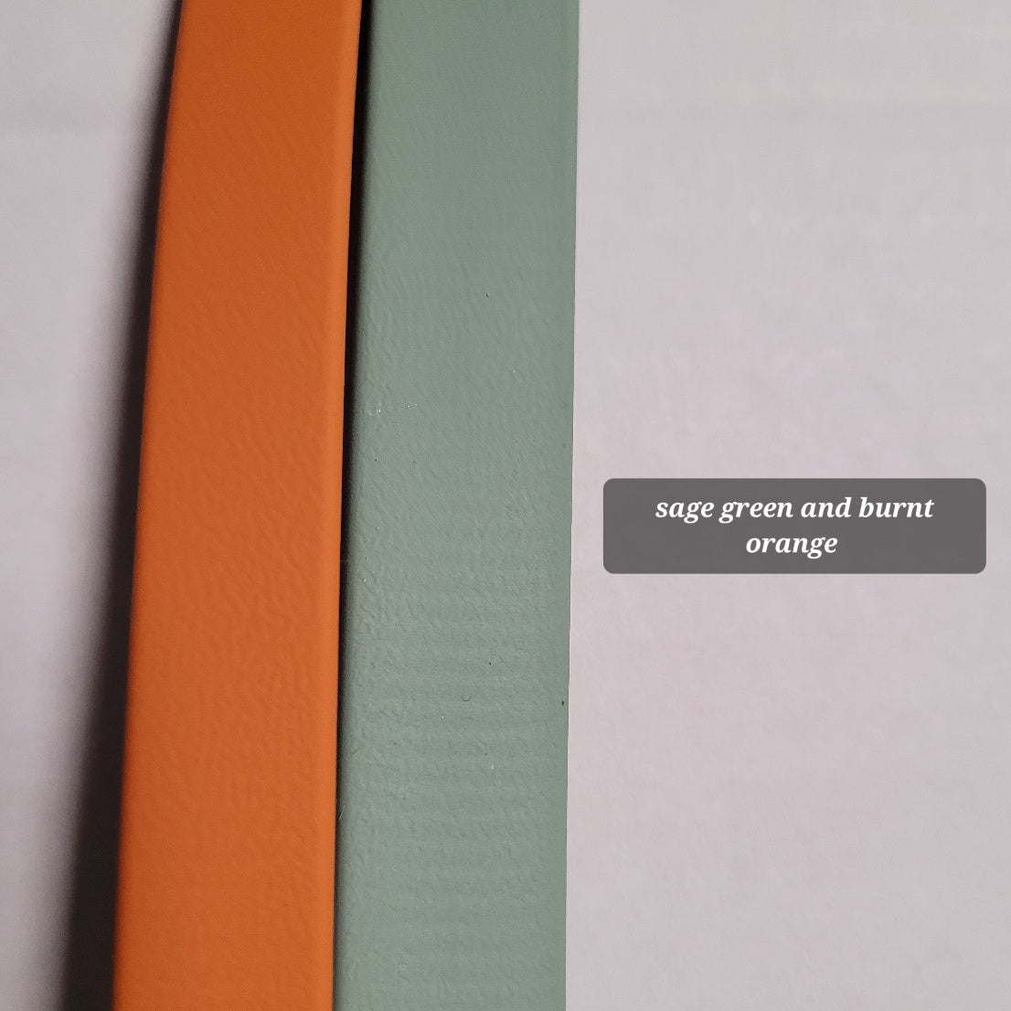 NEW COLOUR: Burnt Orange Biothane® Leashes & Collars