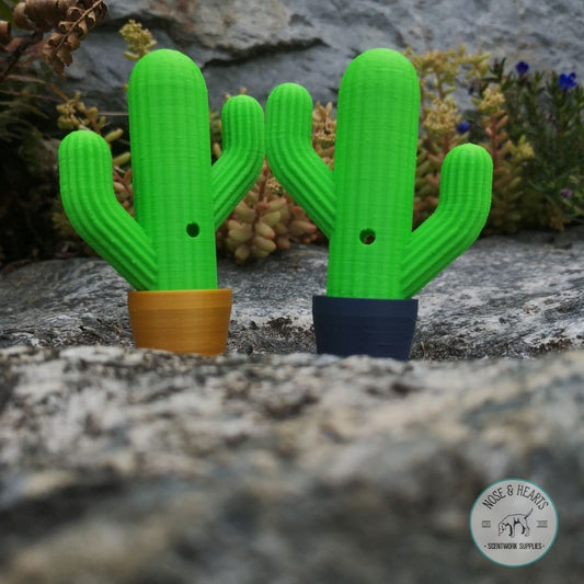 Cactus Vessel (1 Pack) (2022)