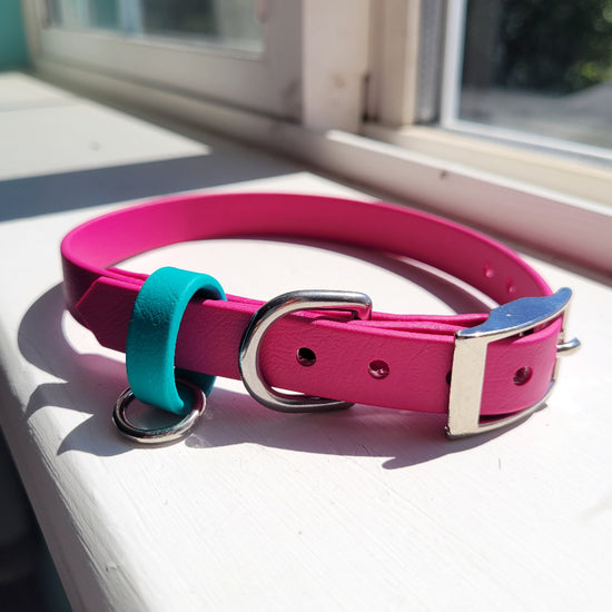 5/8 metal pin collar with teal accent in Raspberry Pink