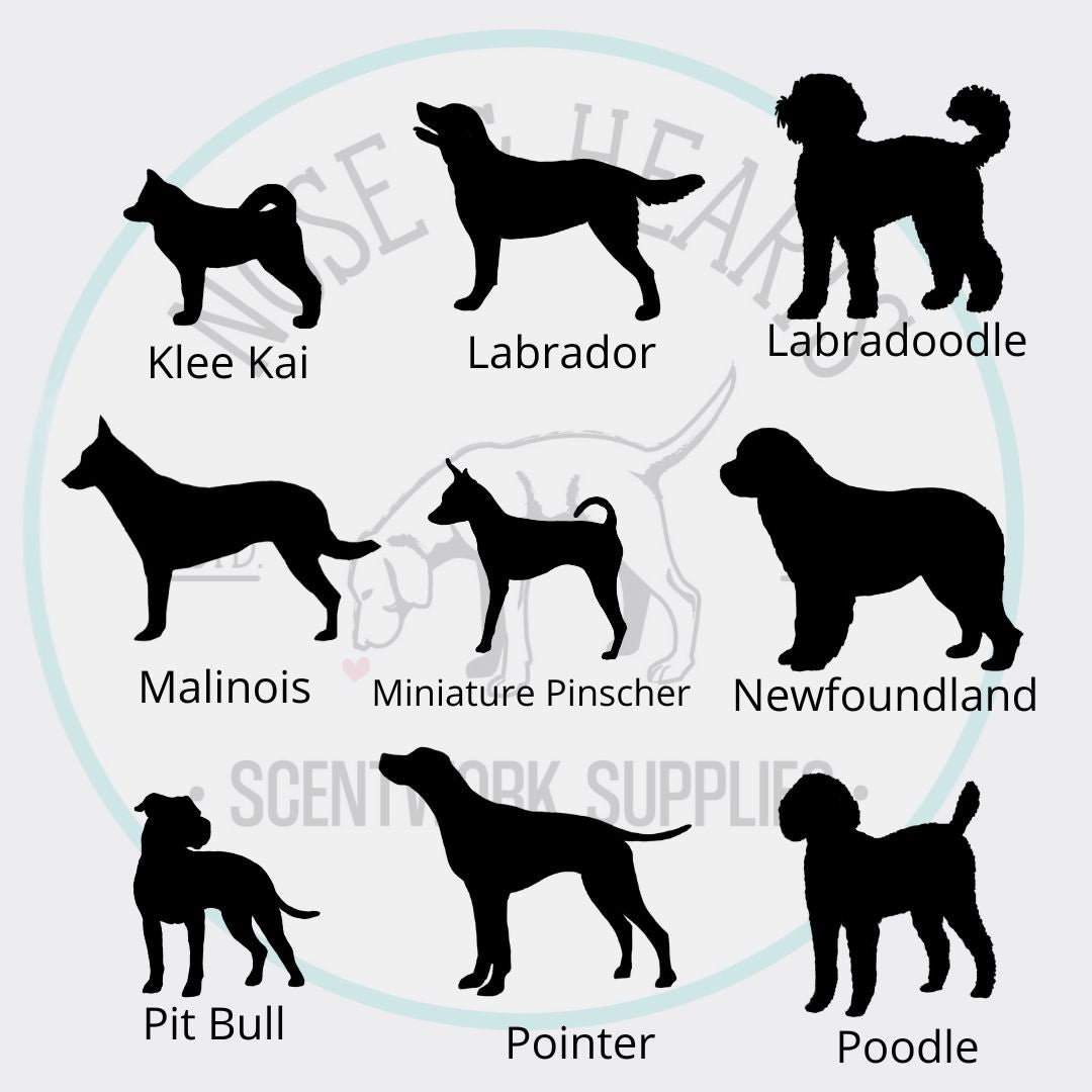 Certificate Holder