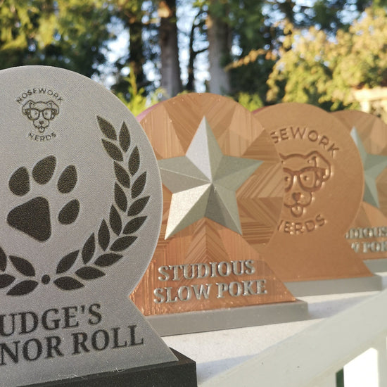 Some of it can be engraved style, like the Nosework Nerds logo in the copper colour in the background.  Subject to logo style.  The silver start on the copper trophy pops up!