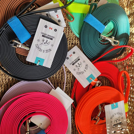 Pre-made: 15 foot 3/8" BioThane®  Leash (Many colours)