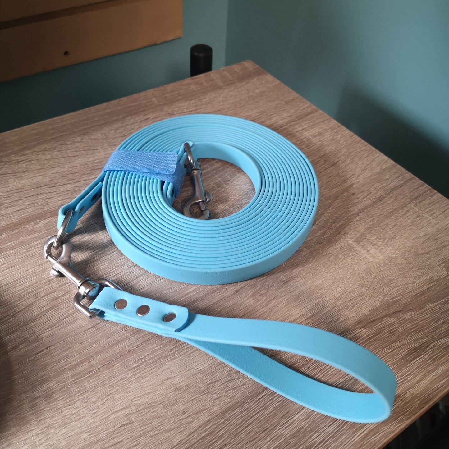 Sky blue leash with handle style: Straight end with a ring and a traffic leash add on