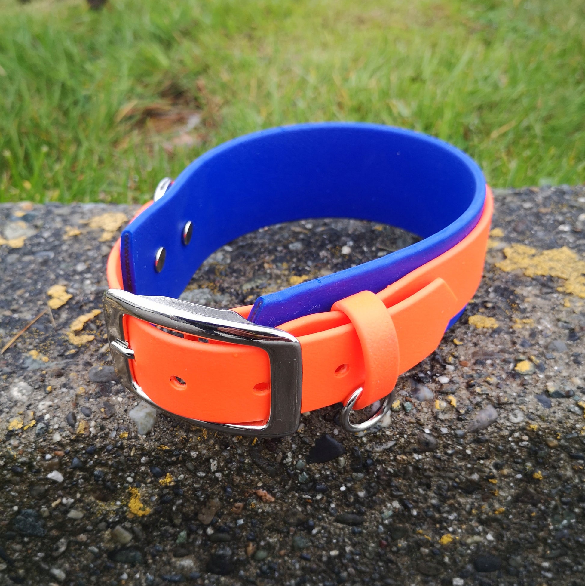 Special order colour. Royal blue under neon orange