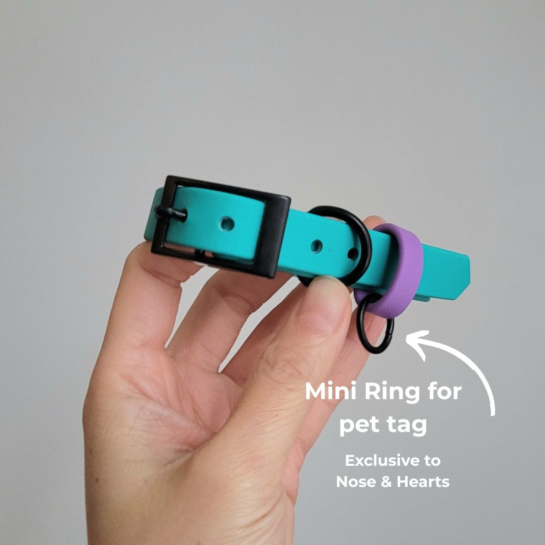 Mini Ring