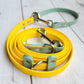 Yellow with Sage Green accents
