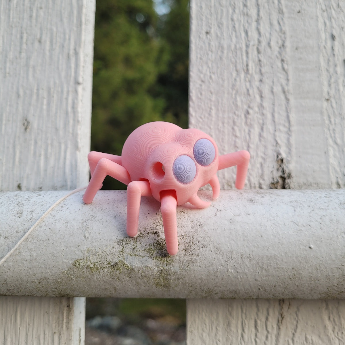 Elevated hides with the cute Pink Spider Vessel for nosework dogs