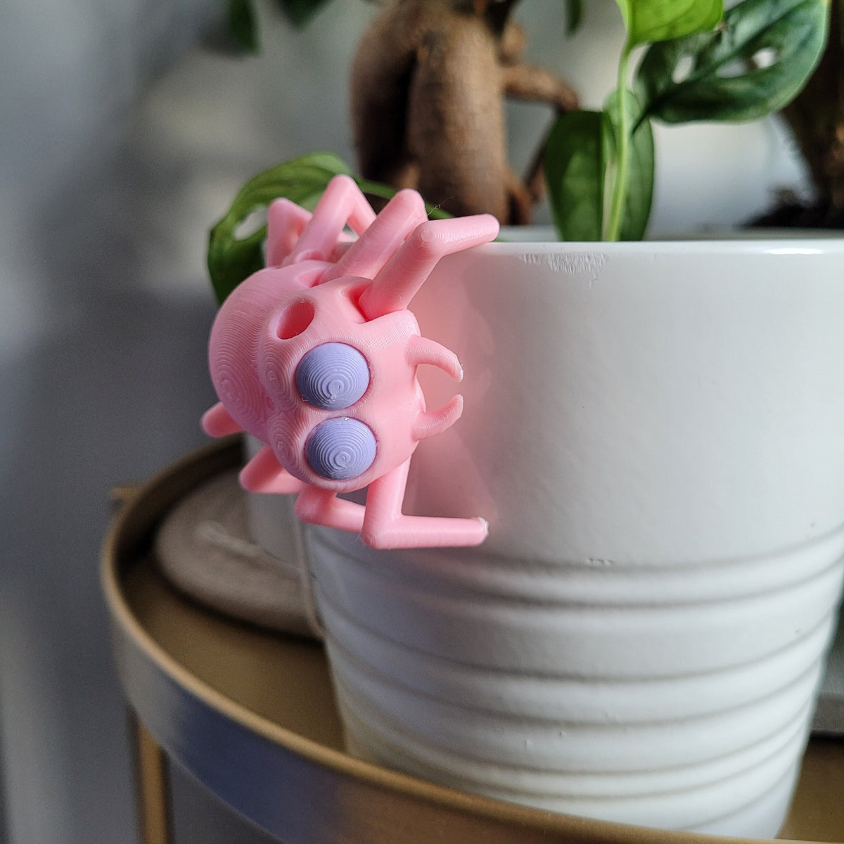Creepy crawly but cute scentwork vessel shaped like a spider! The legs can grab on to objects!