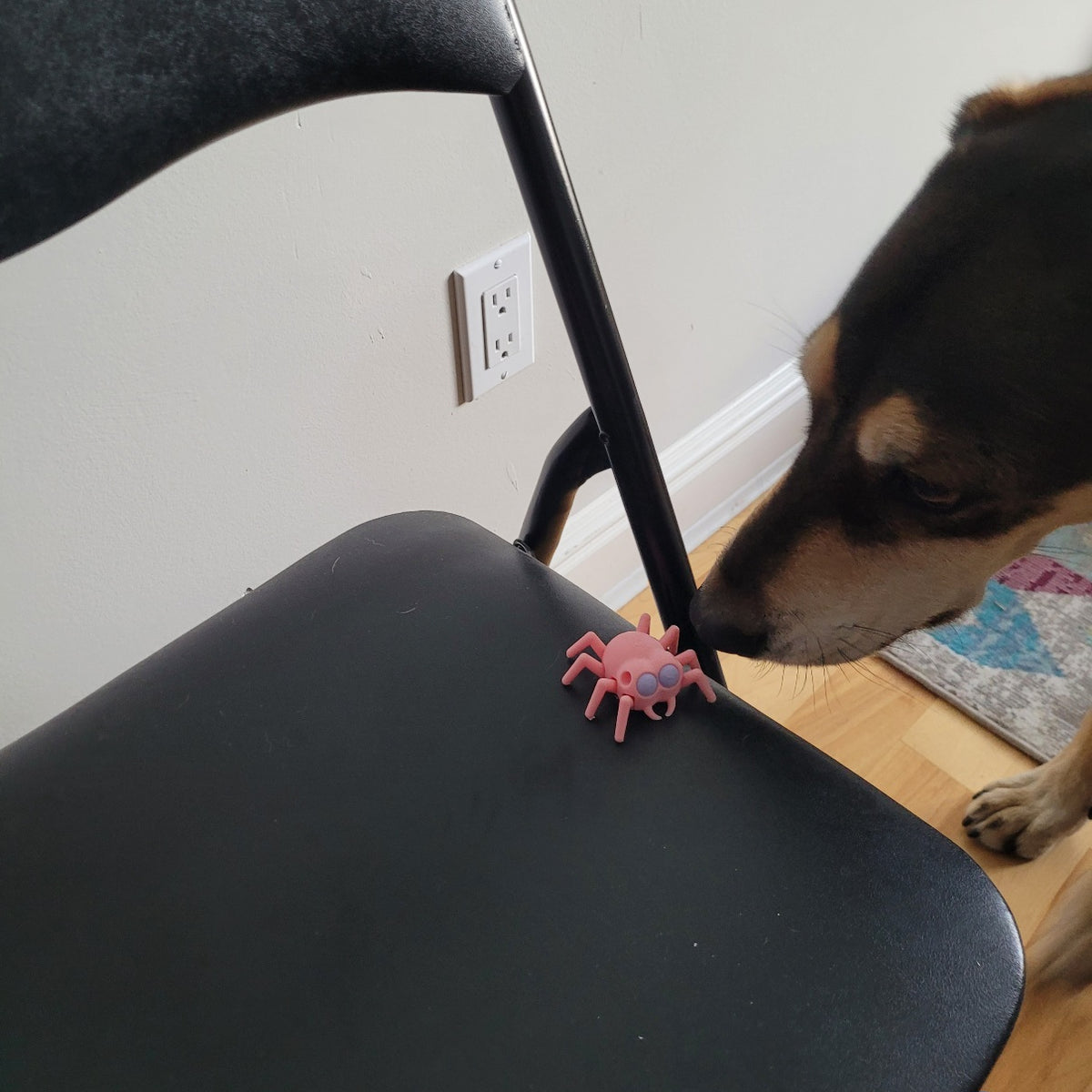 Elevated hides with the cute Pink Spider Vessel for nosework dogs