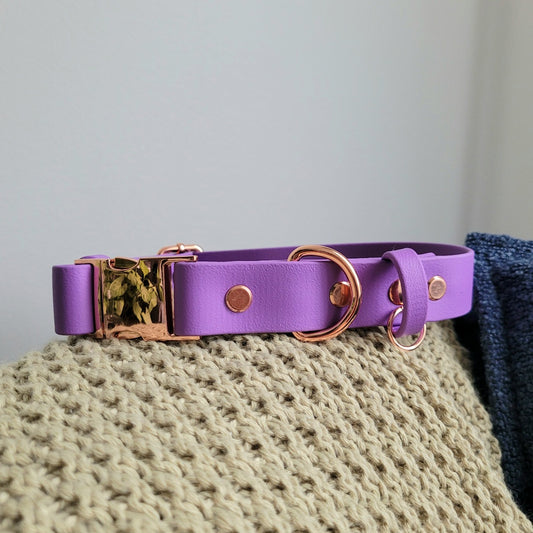 Amethyst biothane collar with a rose gold quick-release buckle. Waterproof and durable. Made in Canada.
