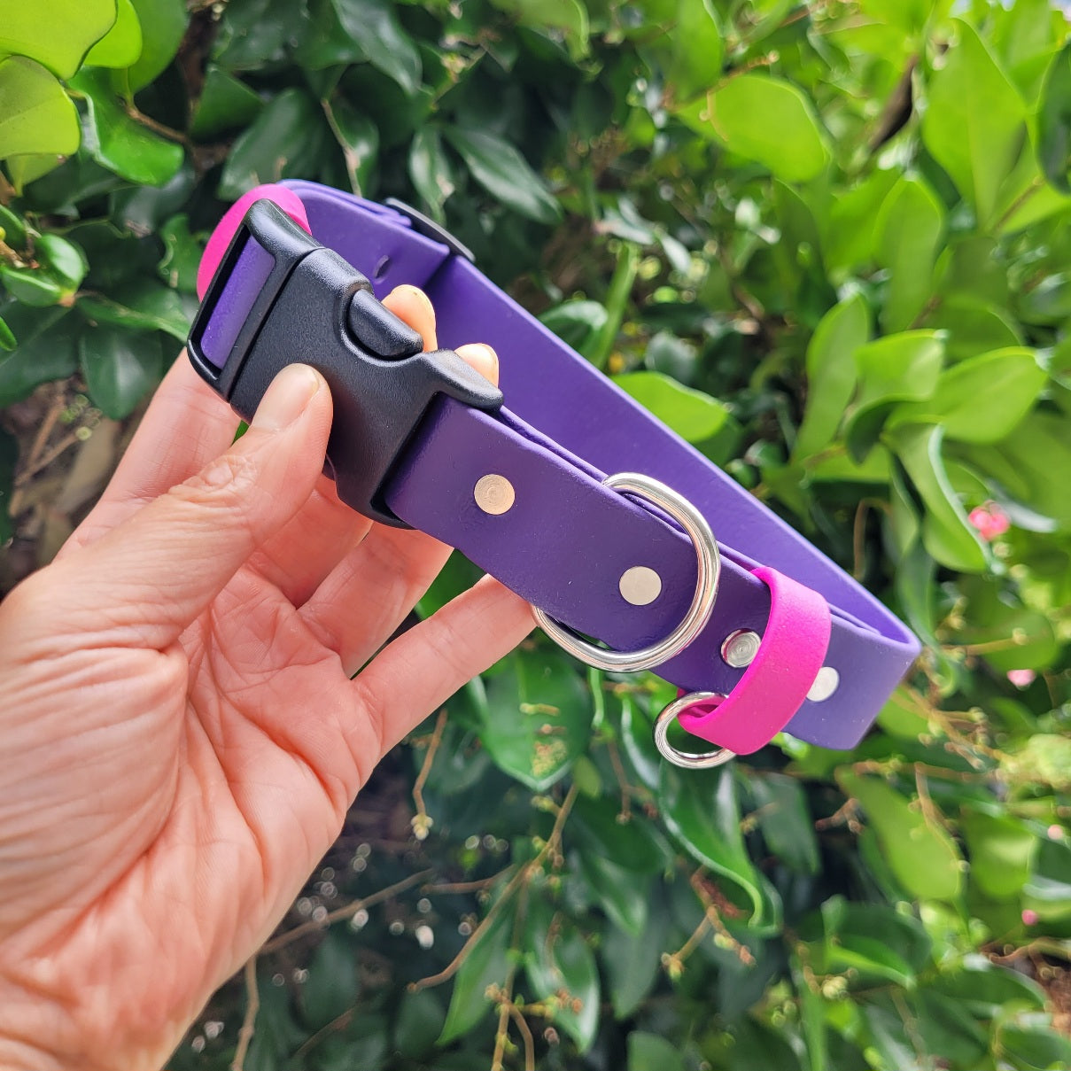 Purple with Raspberry Pink strap/accent