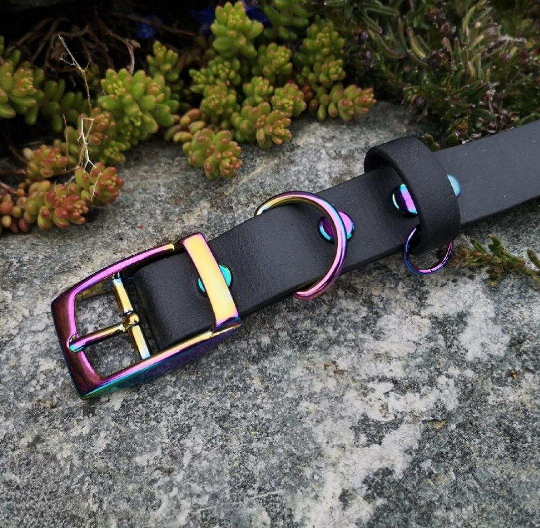 Black biothane collar with rainbow hardware