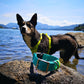 Teal with lime green accent (strap)