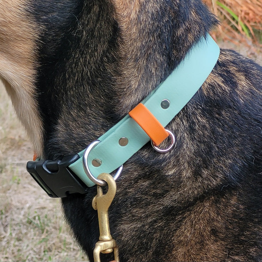 Sage green with burnt orange accent biothane dog collar