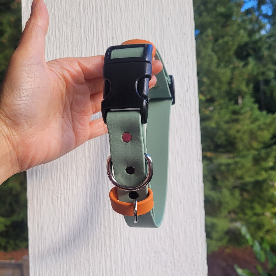 Sage green with burnt orange accent biothane dog collar