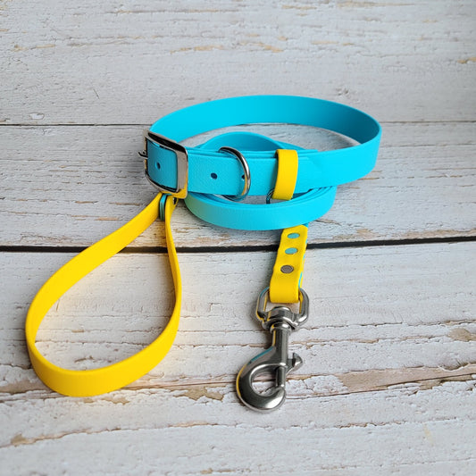 Sky blue with yellow accents leash in 5/8 two tones and matching 1" metal pin collar